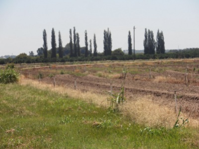 Windsor produce farming