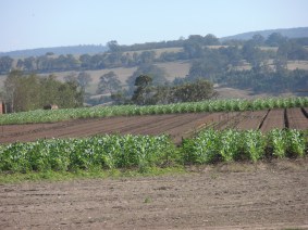 Farming - Lindenow