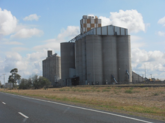 Grain Cilo on the road near Moree